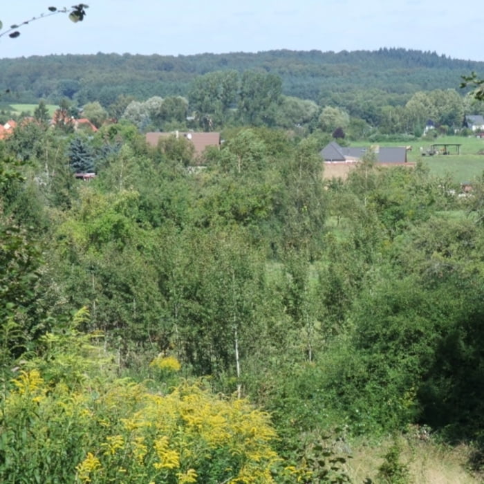 Schöne Aussicht