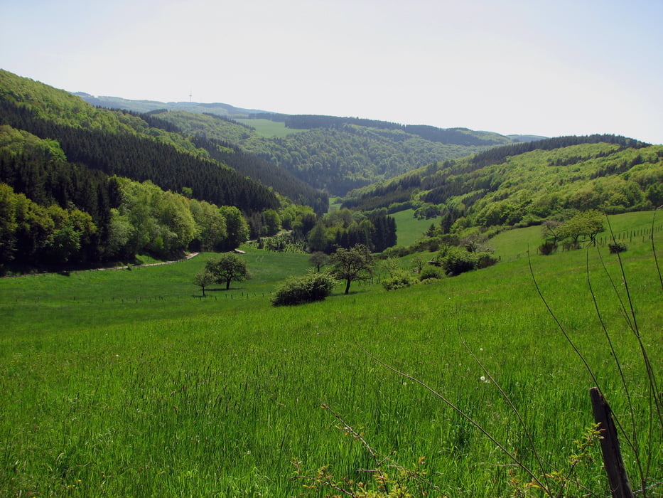 Von Ahrweiler nach Rech über das Steinerberghaus