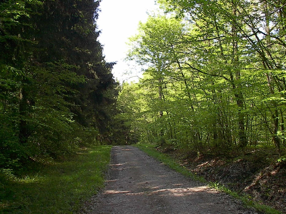 Rochefort mountainbikeroute 4