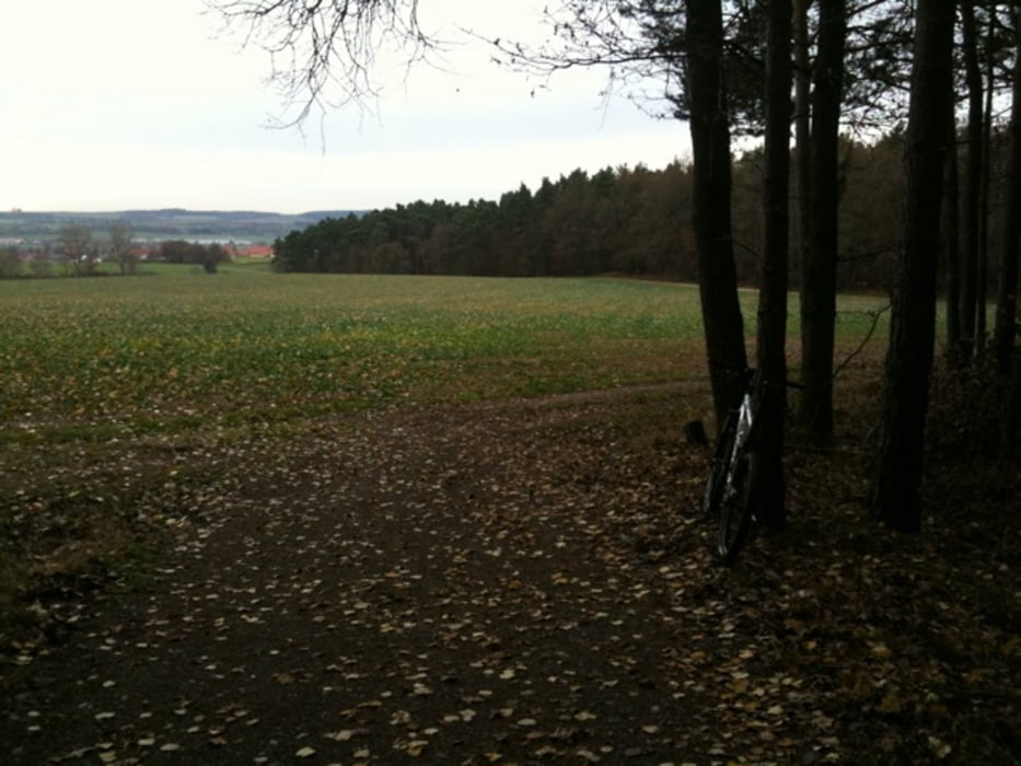 Steigerwald Hochweg