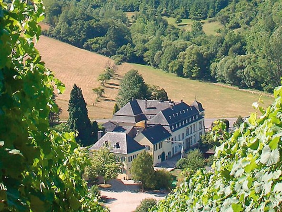 Wiltingen Oberemmel Scharzberg 