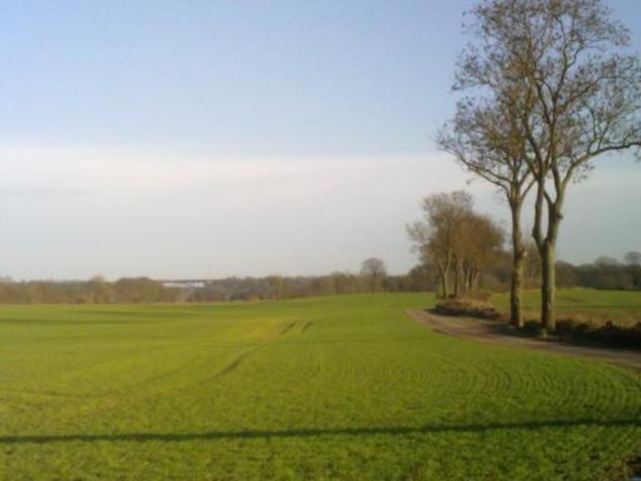 Grüne Wege Kiel: Suchsdorf (rote Route)