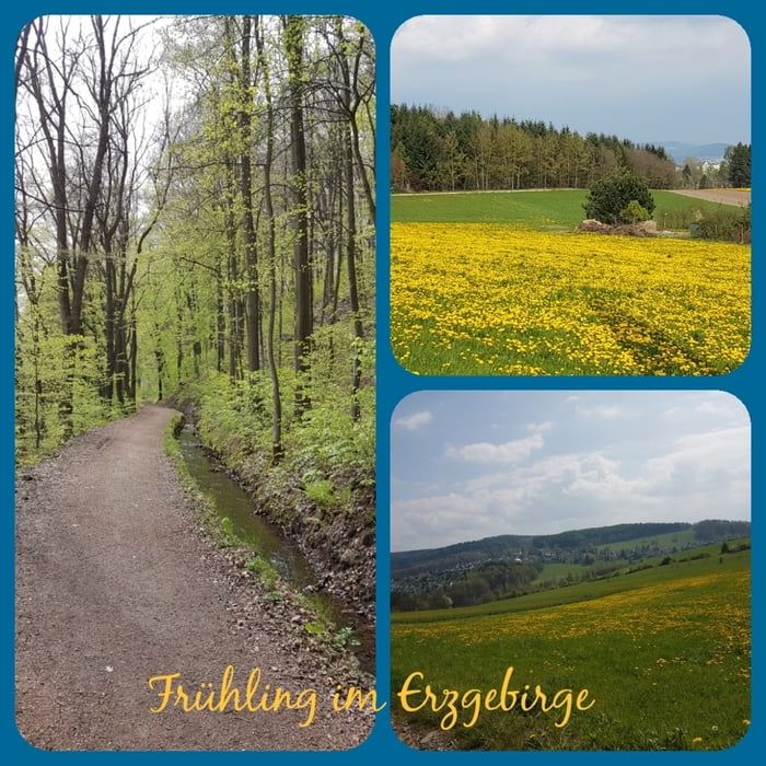 Frühlingswanderung 2017 - Auer Floßgraben mit Gleesberg