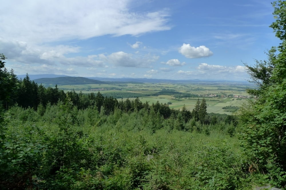 Przełęcz Tąpadła - Rozdroże Bialskie - Trakt Bolka - Rozdroże Holteia - Przełęcz Tąpadła