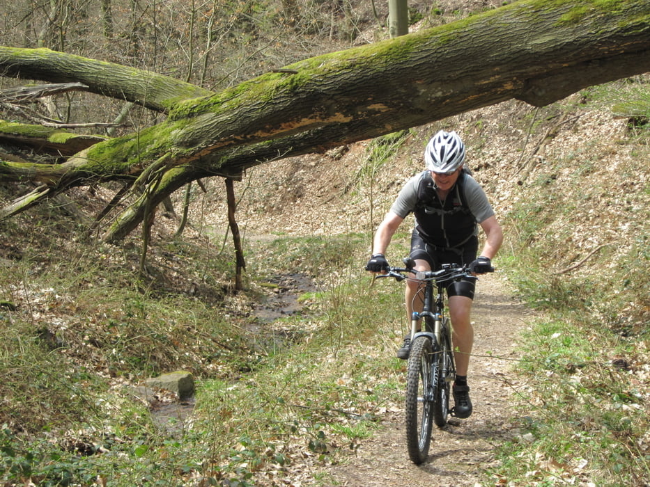 Burgenweg Heidelberg-Weinheim