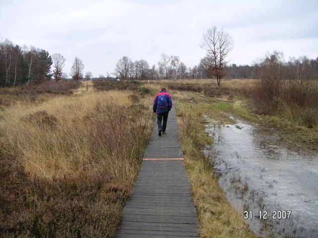 Rundwanderung in das Naturschutzgebiet Drover Heide