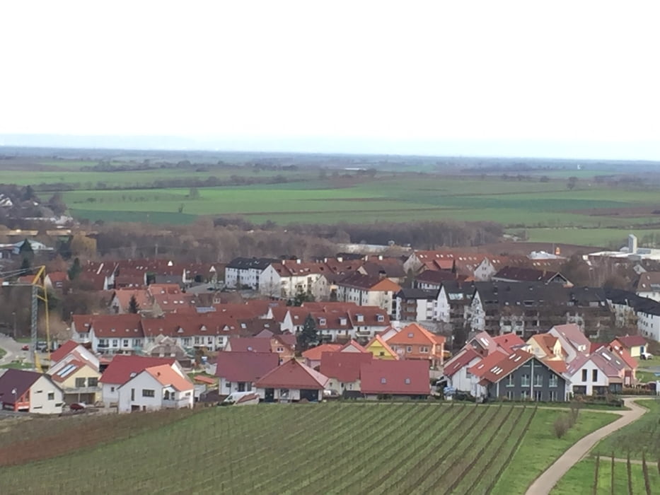 Dörrenbach - Bad Bergzabern - Pleisweiler und zurück