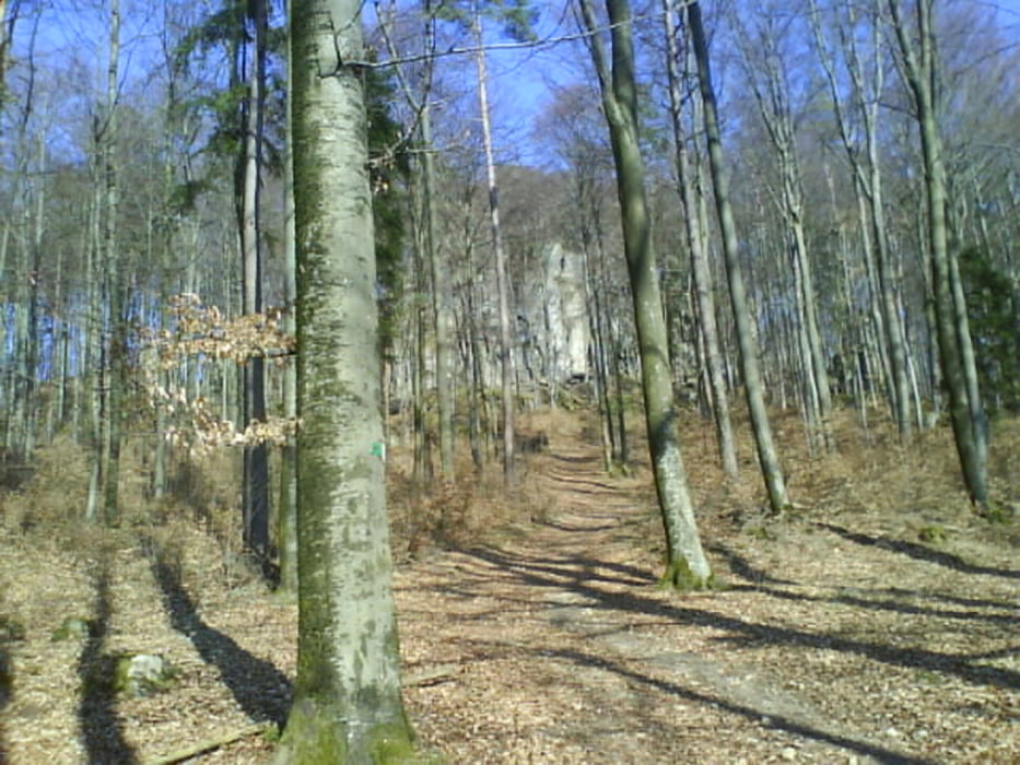 Gräfenberg-Hilpoltstein-Münchs-Obertrubach-Sorg-Trailabfahrt Hammerbühl-Großenoher Tal-Gbg