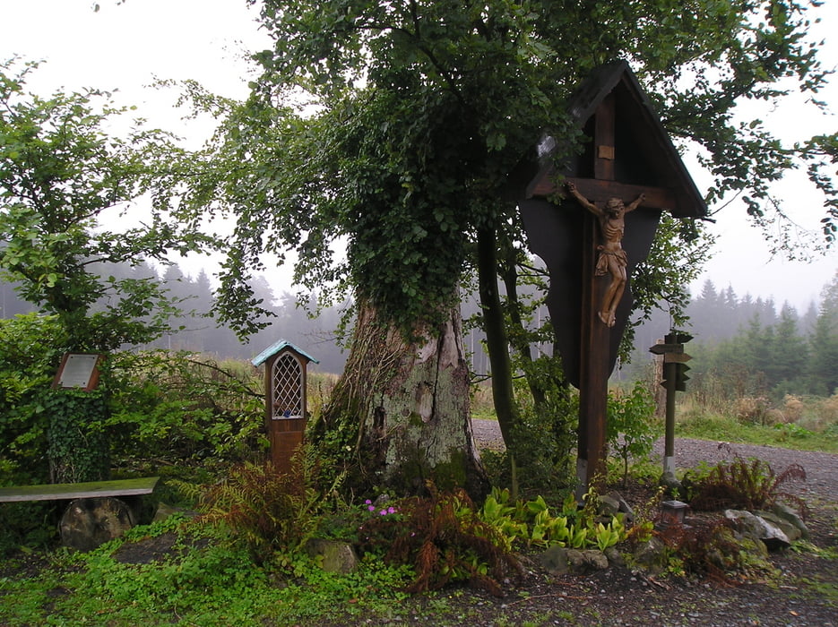 Wanderung S-Langscheid - Enkhausen - Hachen v.v.