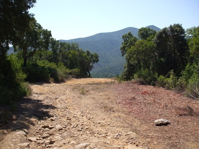 Bandite di Scarlino (1)