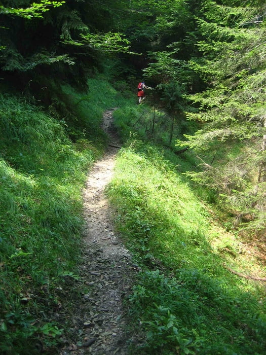 Von der Götschenalm zum Toten Mann