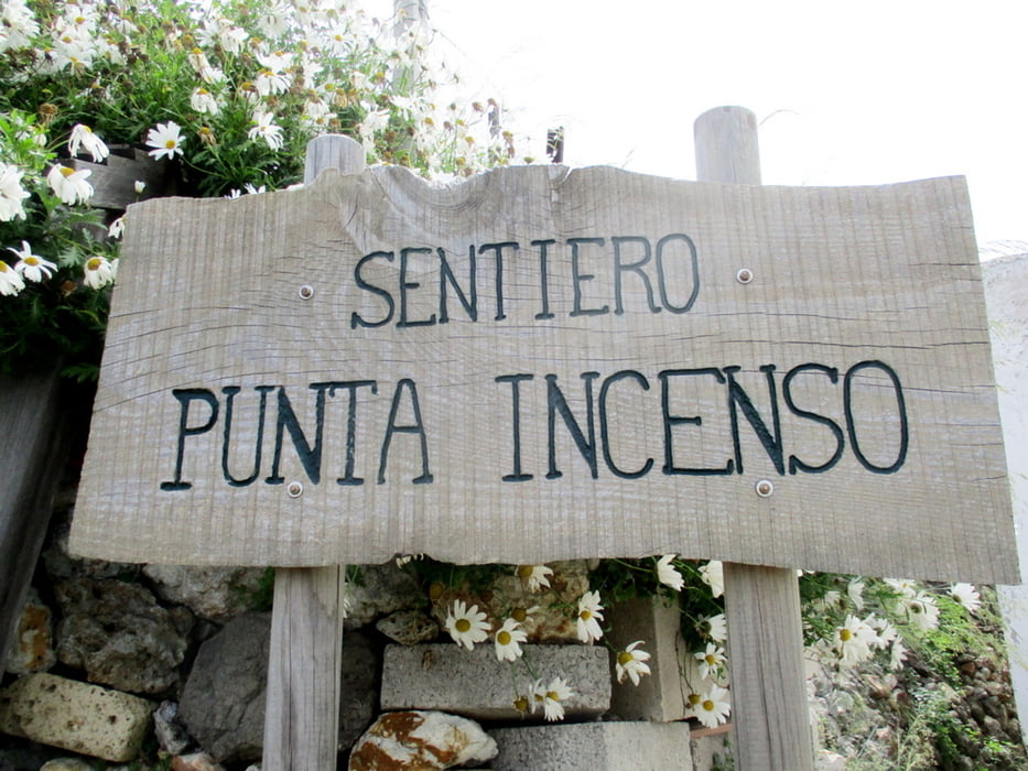 Punta Incenso 