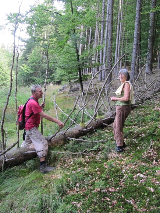 Wandernanders Kreis Günzburg Raum Krumbach Schwaben Krumbächle Weiler Mittelschwäbische Nachrichten Augsburger Allgemeine