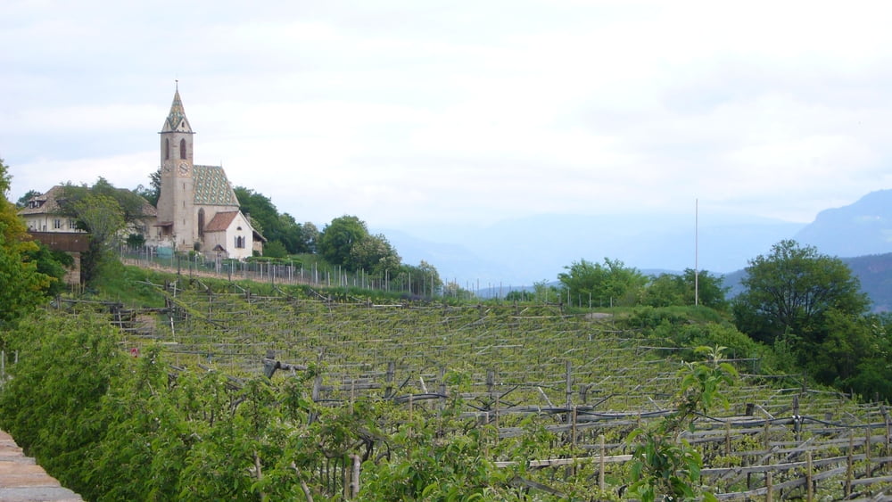 Leifers Schönblick