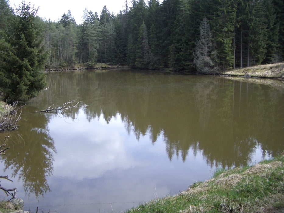 Rundwanderweg 2 des OWV Windischeschenbach
