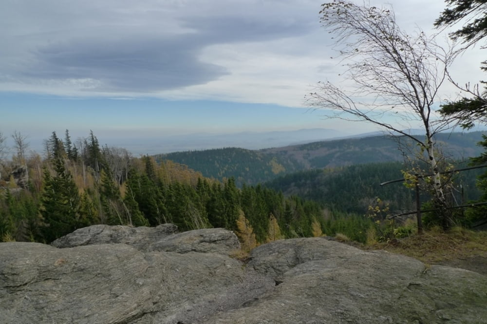 Travna - Boruvkova hora - Vysoky kamen - Travna