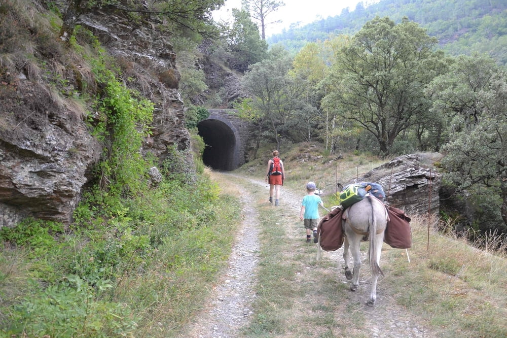 Eselwanderung von Vimbouche nach Le Lauzas