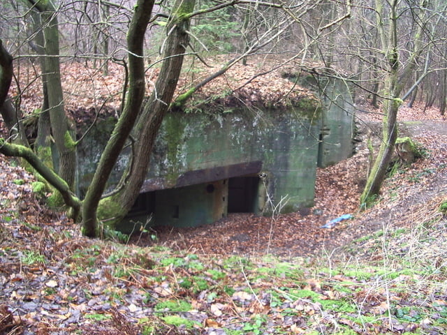 Buhlert Bunker Wanderung