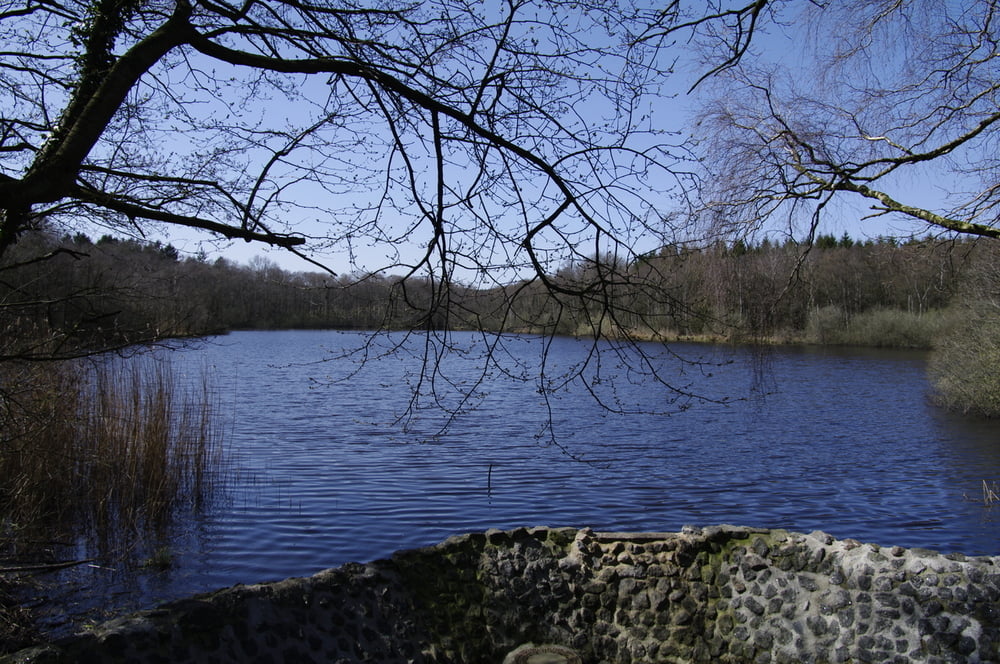 Durch Itzehoes Wälder