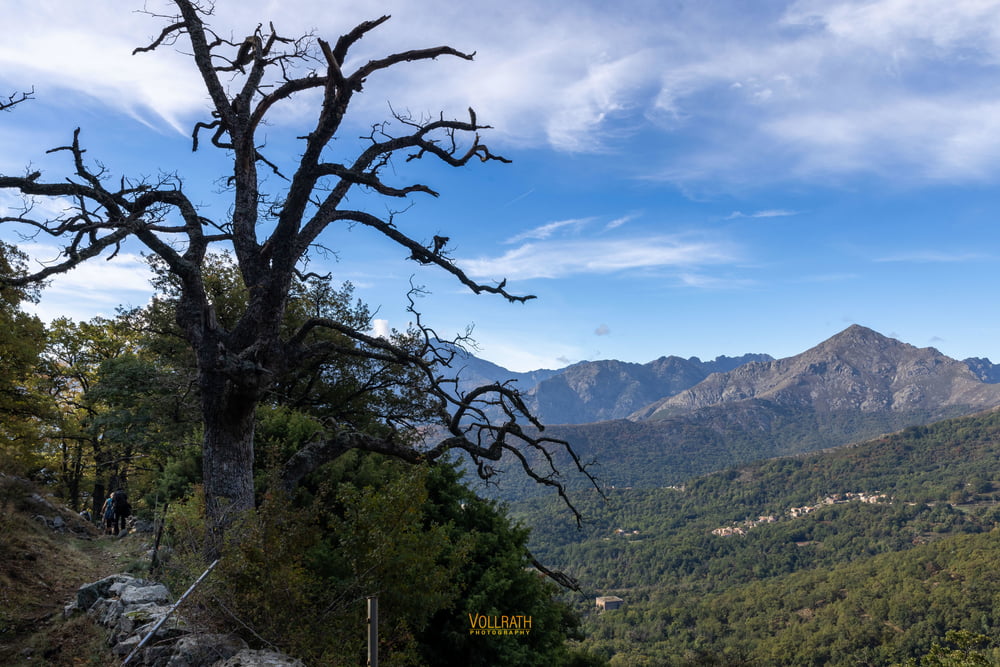 Korsika: Bocca di Battaglia - Olmi Capella (Rundtour)