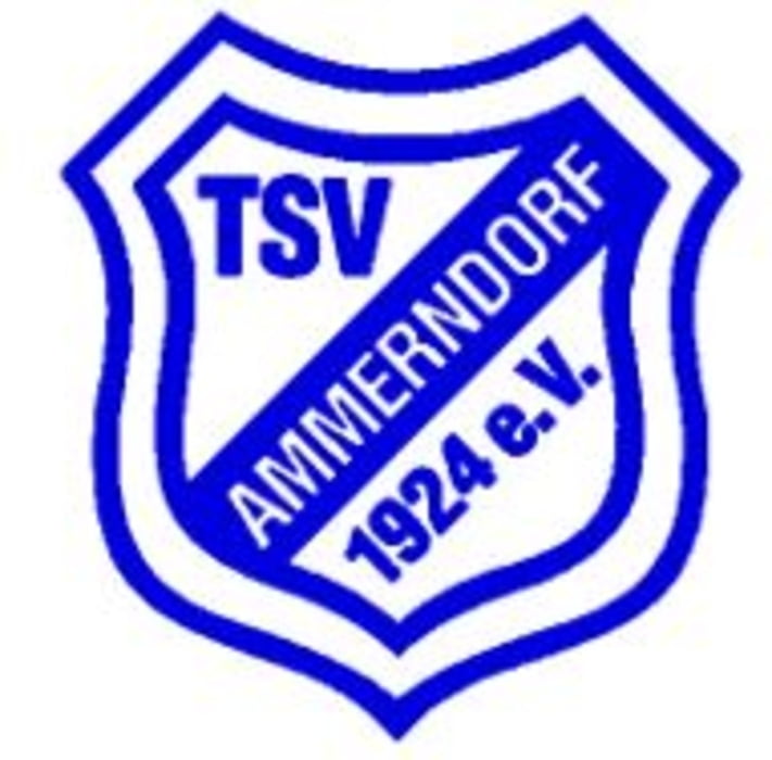 RTF Ammerndorf 2015