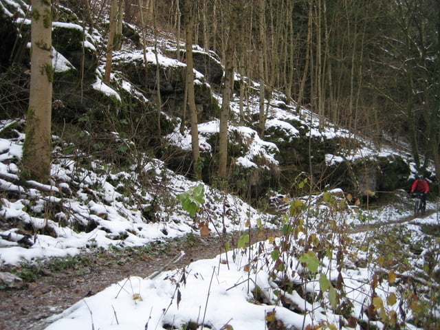 Bamberg Trails - Tiefenellern 01