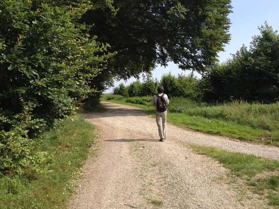 Römer und Raubritter Entlang der Illerleite Wanderserie Augsburger Allgemeine Illertisser Zeitung Mittelschwäbische Nachrichten Raum Illertissen