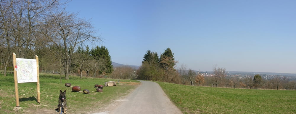 Rundwanderung: Neuenhain - Mammolshain - Neuenhain