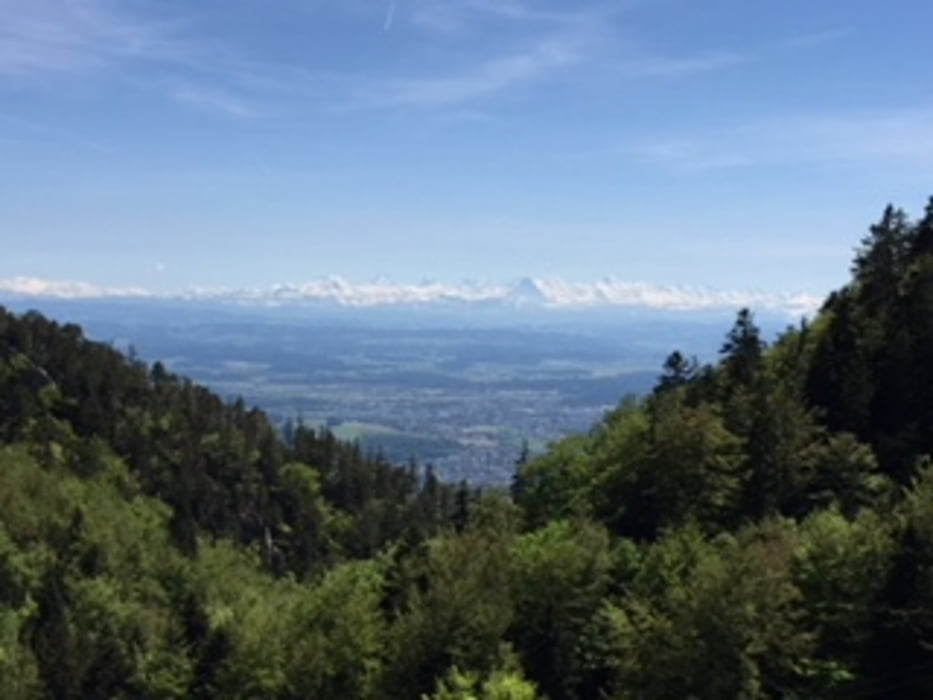 Weissenstein