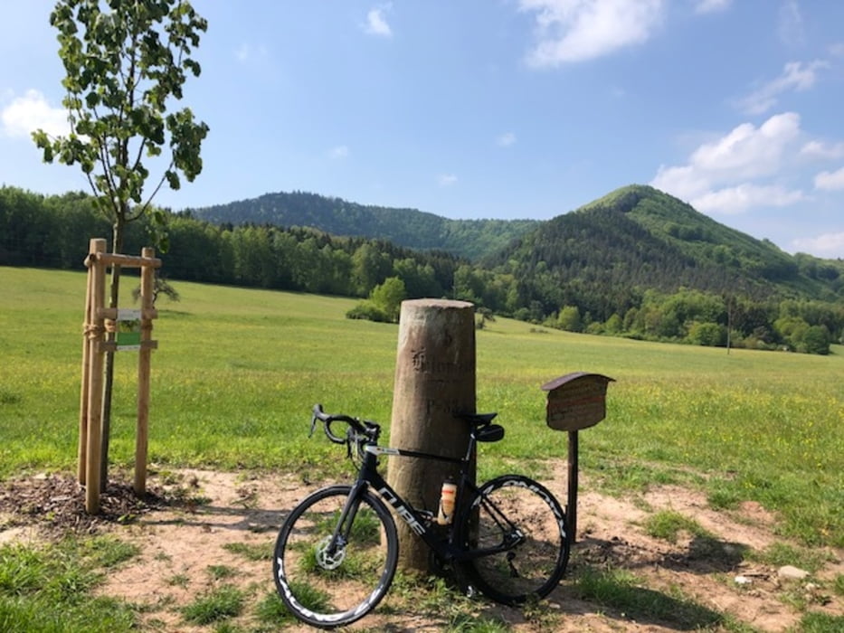 RTF Wörth 2019_160 km Südpfalz Vogesen