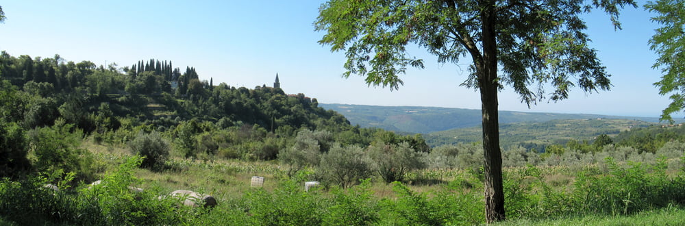 Parenzana Buje - Livade