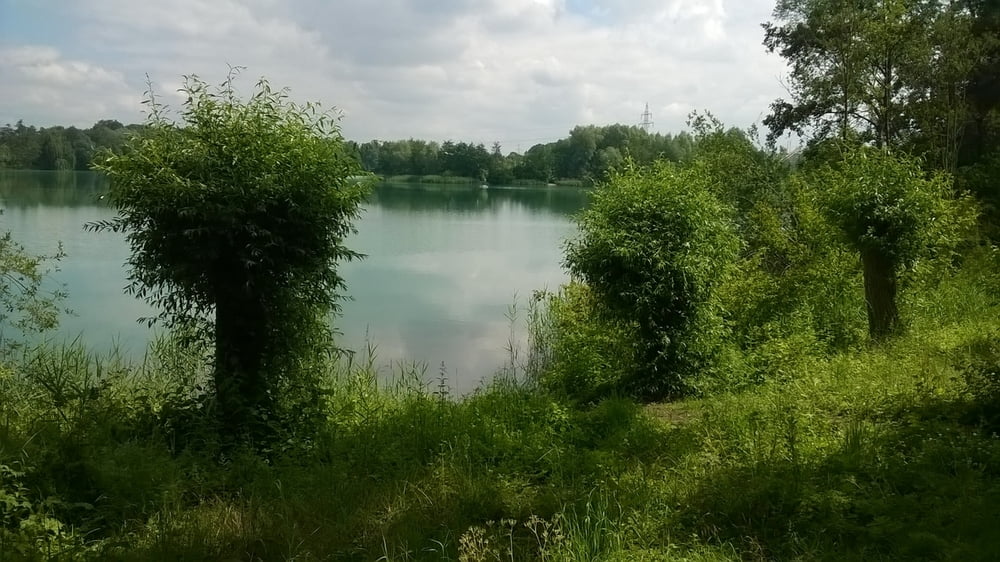 Lippesee