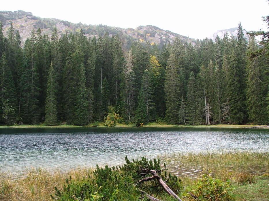 Montenegro: Zimnje jezero