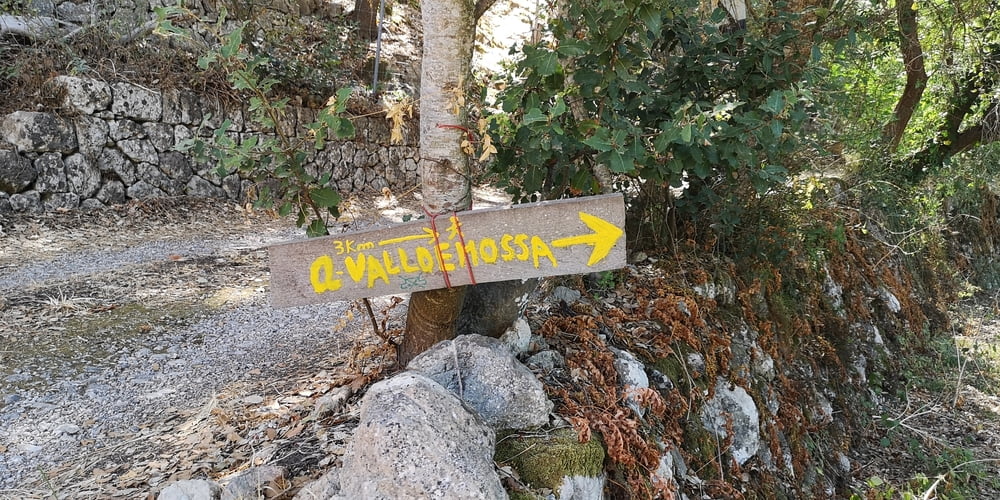 Valldemossa nach Esporles hin und zurück mit Puig de Boixos