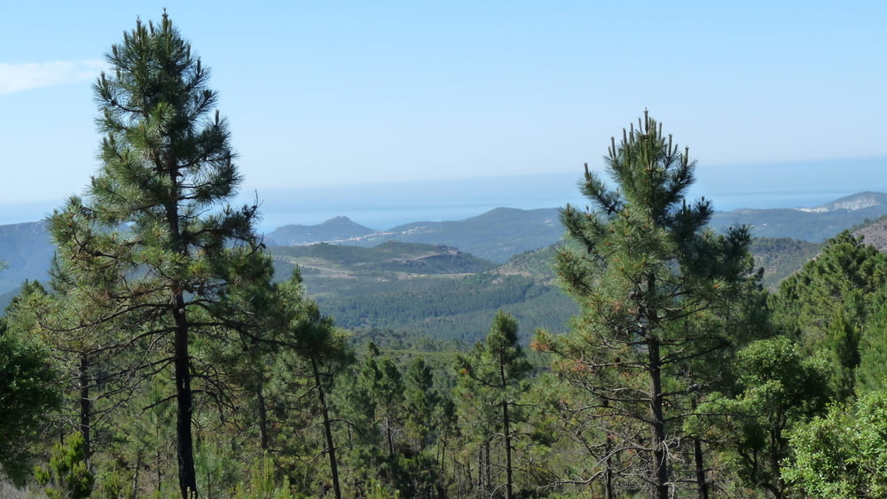 Größere Runde im Esterel