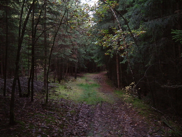 Gera- Hohe Reuth- Nonnendorf-  Wünschendorf