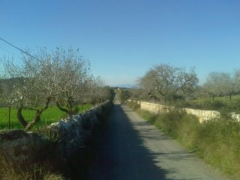 Cala Serena - Petra ("Garten Eden")