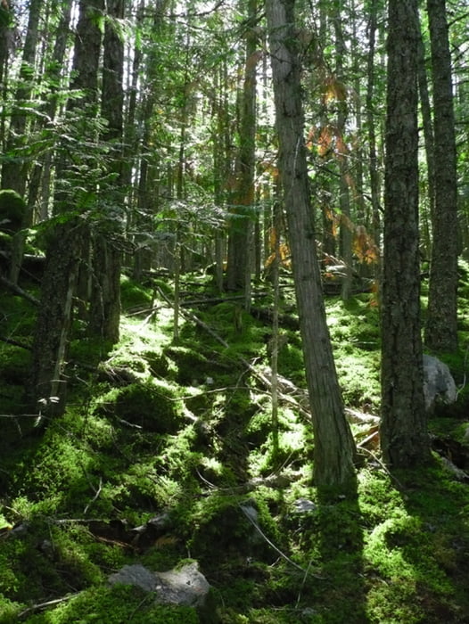 Johnsens Landing (Kanada Tour 2011)