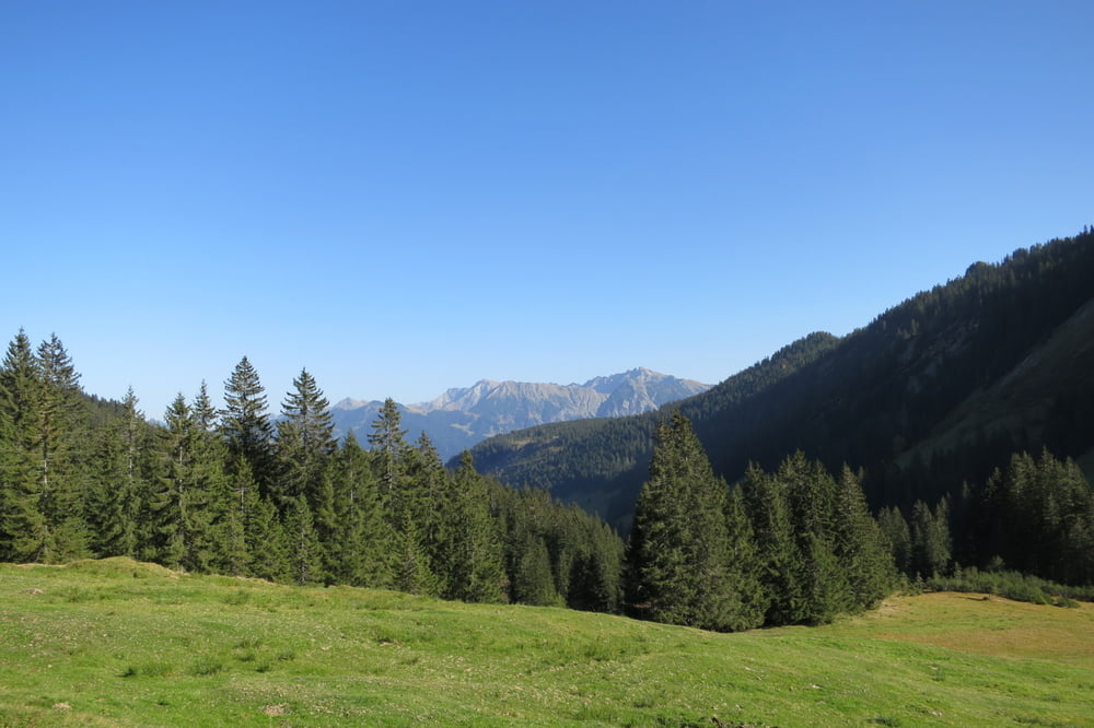 Rundwanderung von Alp zu Alp