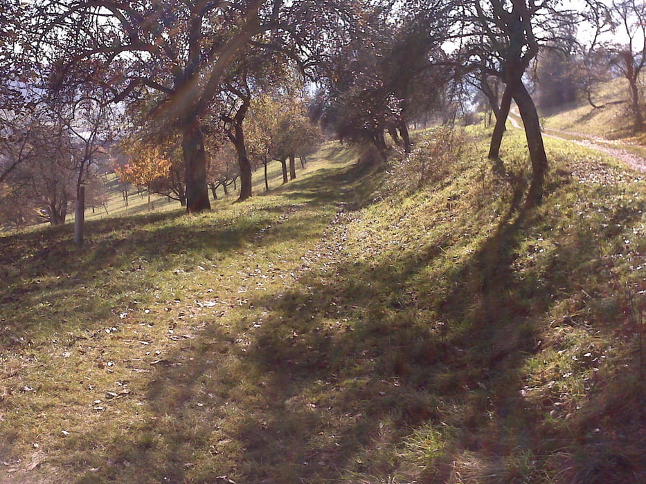 Merklingen-Simmozheim-SingleTrailTour