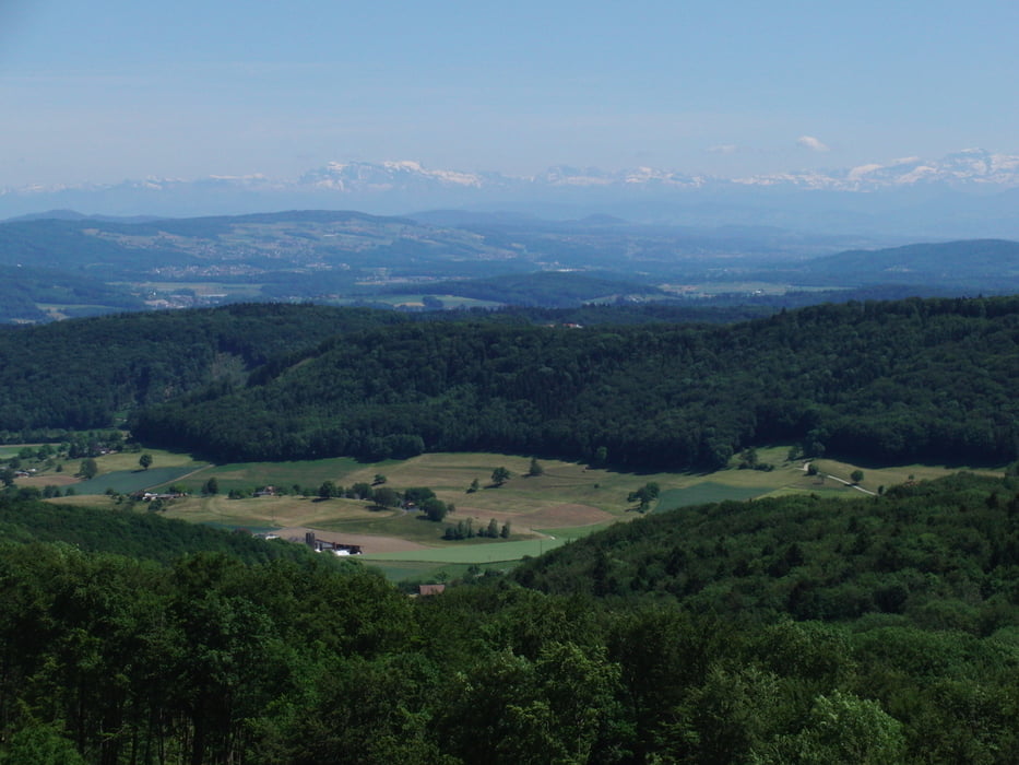 60 km MTB Hornussen