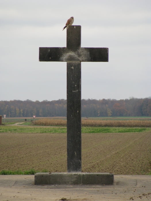 Zwischen Merten und Brenig