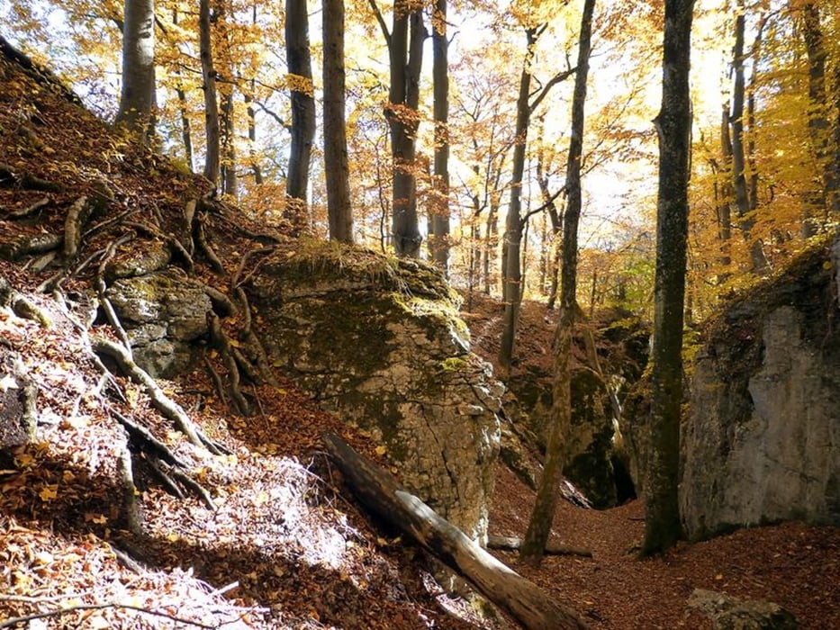 Wanderweg  Höllenlöcher, Grüner Fels, Olgafels, Sonnenfels, schwäbische Alb Wanderung