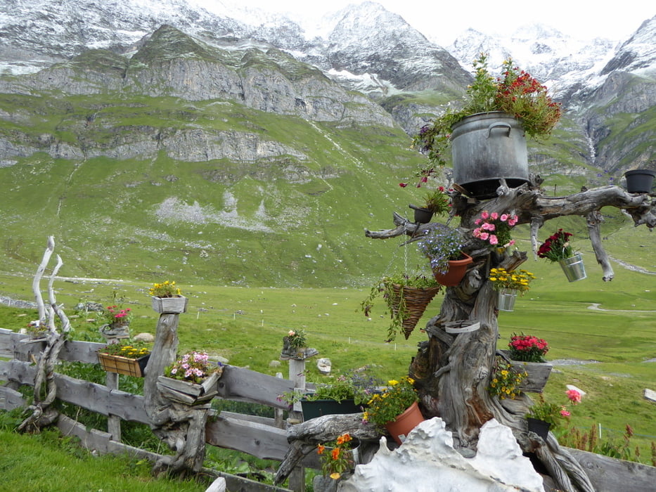 Bergwanderung - Meraner Höhenweg ab Muthöfe - Dorf Tirol