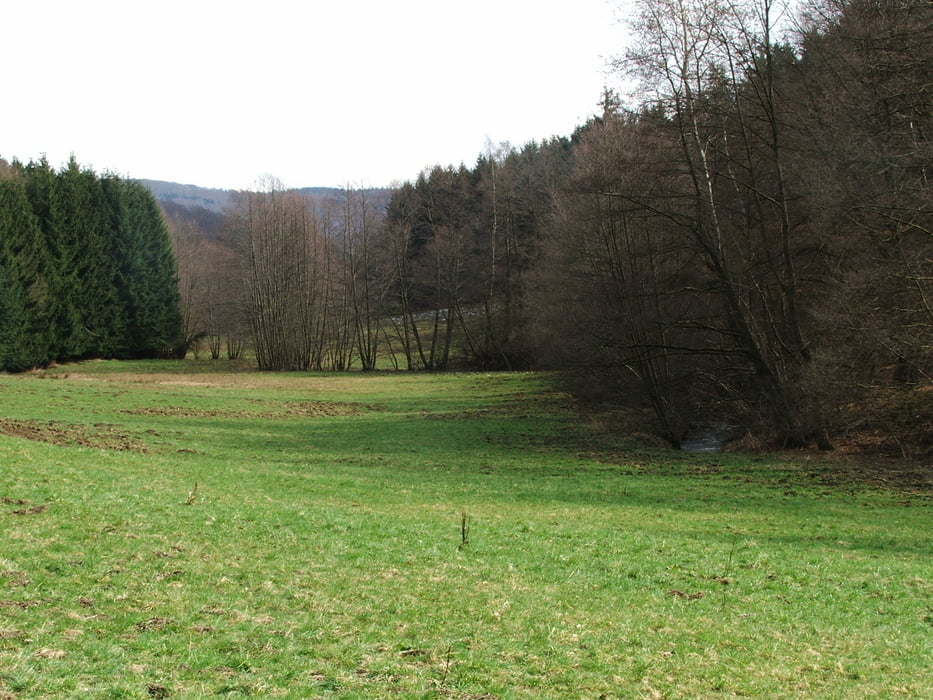 Taunus: Dombach - Bad Camberg (1)