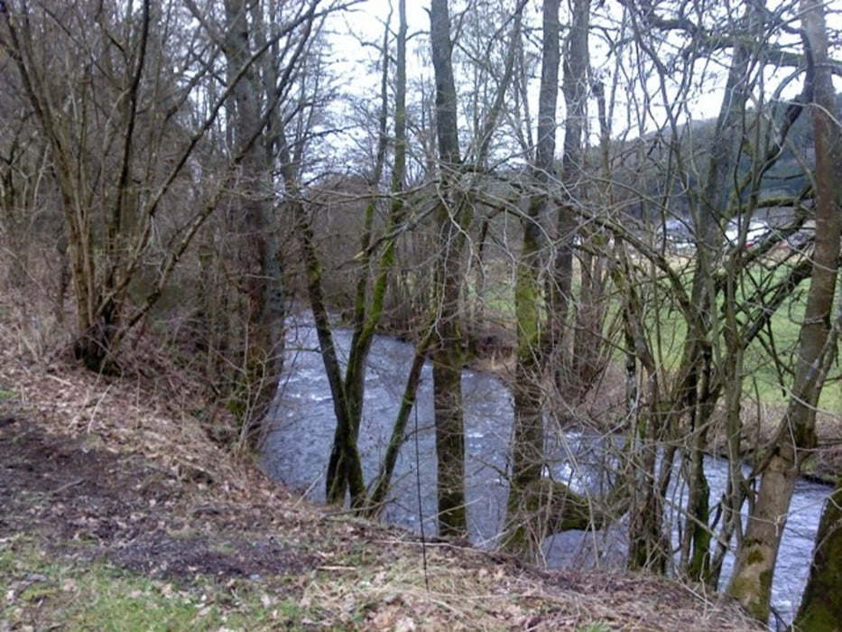 Schönberg-Sankt-Vith-Pipas