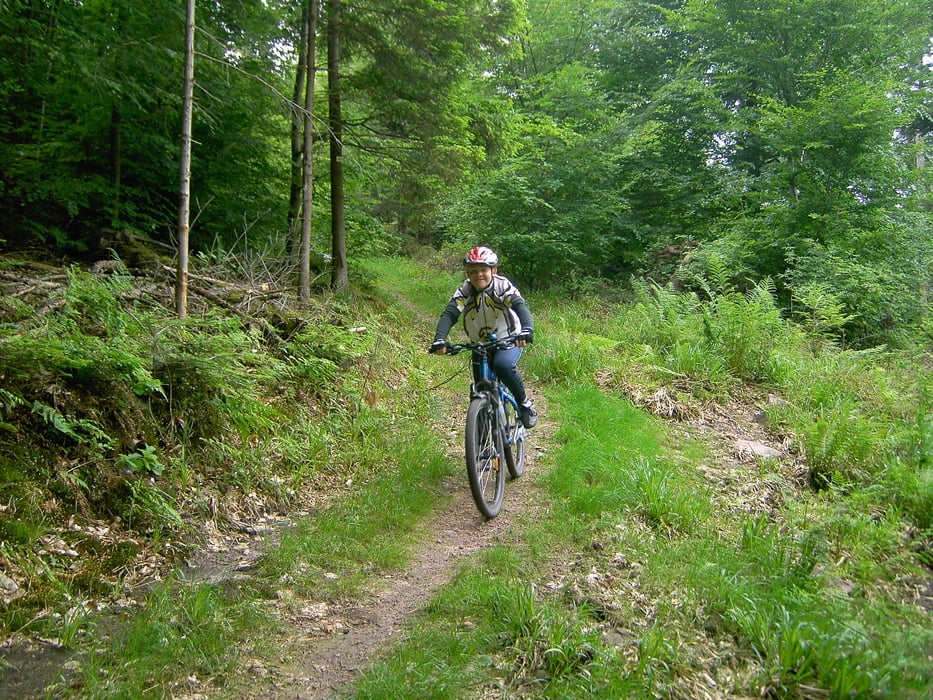 Vom Kupferhammer zur Wolfsgrube auf div. Trails