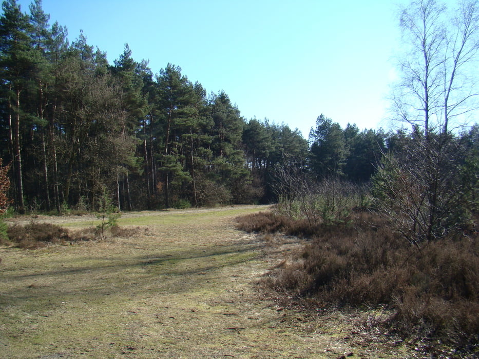 kattevennen 3