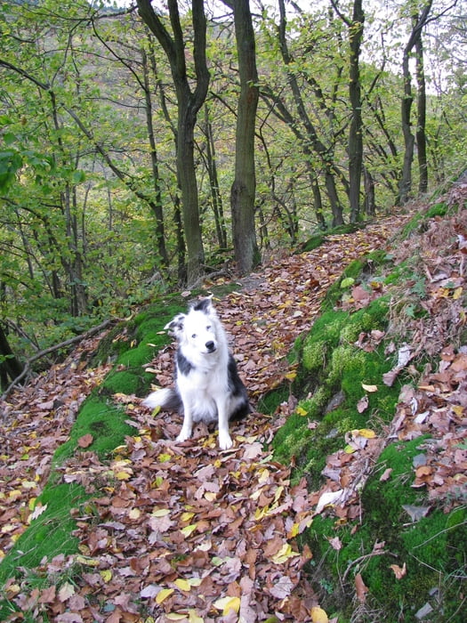 Durchs Brohltal