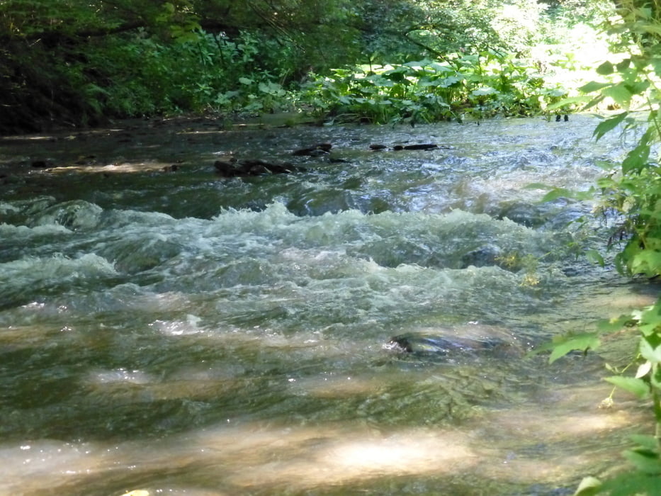 120801 Pyrmonter Felsensteig